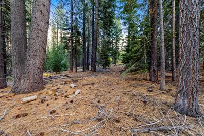 1590 Iroquois Circle, South Lake Tahoe, CA 96150 - Photo 14