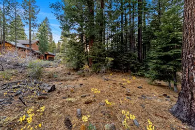 1590 Iroquois Circle, South Lake Tahoe, CA 96150 - Photo 20