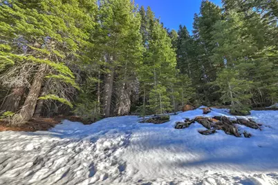 1607 Southern Pines Drive, South Lake Tahoe, CA 96150 - Photo 4