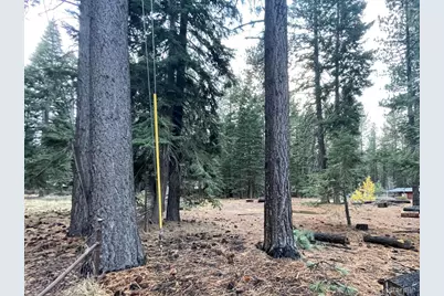 1223 Bonanza Avenue #3, South Lake Tahoe, CA 96150 - Photo 28