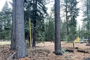 1223 Bonanza Ave, South Lake Tahoe, CA 96150 - Photo 28