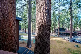 516 Emerald Bay Rd, South Lake Tahoe, CA 96150 - Photo 18