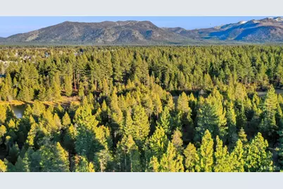 2139 Lukins Way, South Lake Tahoe, CA 96150 - Photo 24