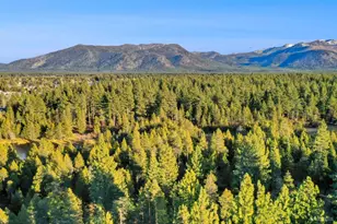 2139 Lukins Way, South Lake Tahoe, CA 96150 - Photo 24