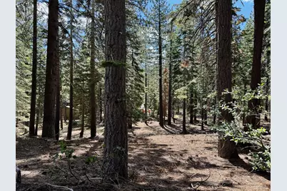 1951 Delaware Street, South Lake Tahoe, CA 96150 - Photo 8