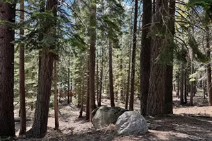 1951 Delaware St, South Lake Tahoe, CA 96150 - Photo 10