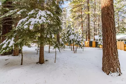 863 Julie Lane, South Lake Tahoe, CA 96150 - Photo 6