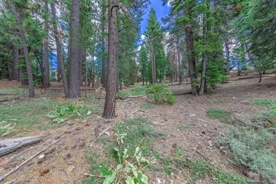 1801 Meadow Vale Drive, South Lake Tahoe, CA 96150 - Photo 12