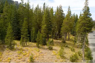 34030 Fremont Rd. #100, Kirkwood, CA 95646 - Photo 2