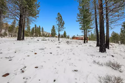 3 Raymond View, Markleeville, CA 96120 - Photo 24