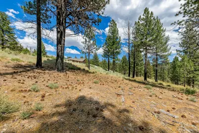 3 Raymond View, Markleeville, CA 96120 - Photo 14