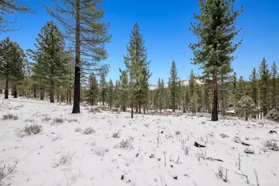 3 Raymond View, Markleeville, CA 96120 - Photo 22