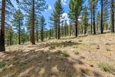 3 Raymond View, Markleeville, CA 96120 - Photo 12