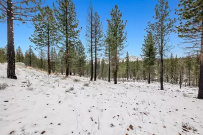 3 Raymond View, Markleeville, CA 96120 - Photo 16