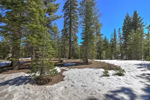 641 Yucatan St, South Lake Tahoe, CA 96150 - Photo 28