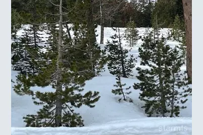 33839 Hawkweed Way, Kirkwood, CA 95646 - Photo 6