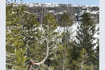 33839 Hawkweed Way, Kirkwood, CA 95646 - Photo 10