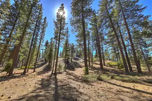 1251 Margaret Ave, South Lake Tahoe, CA 96150 - Photo 26