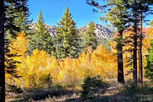 1655 Pebble Beach Dr, South Lake Tahoe, CA 96150 - Photo 28