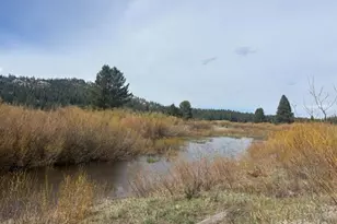 1010 Onnontioga St, South Lake Tahoe, CA 96150 - Photo 26