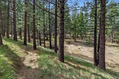 1010 Onnontioga Street, South Lake Tahoe, CA 96150 - Photo 22