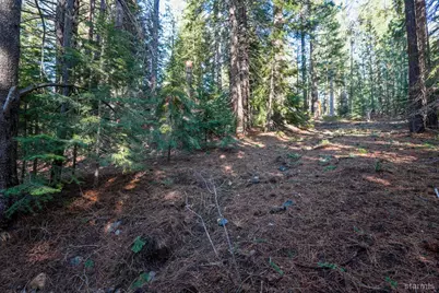 1946 Osage Circle, South Lake Tahoe, CA 96150 - Photo 8