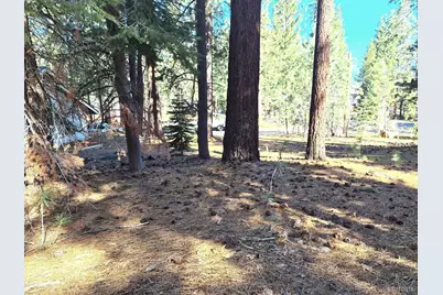 1662 Maiden Hair Ct, South Lake Tahoe, CA 96150 - Photo 18