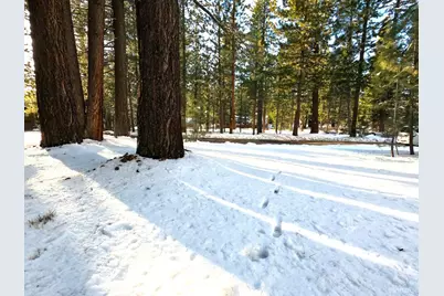 1662 Maiden Hair Ct, South Lake Tahoe, CA 96150 - Photo 6
