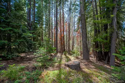 1952 Osage Circle, South Lake Tahoe, CA 96150 - Photo 10