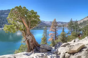 7834 Phillips Heights Ave, Twin Bridges, CA 95735 - Photo 4