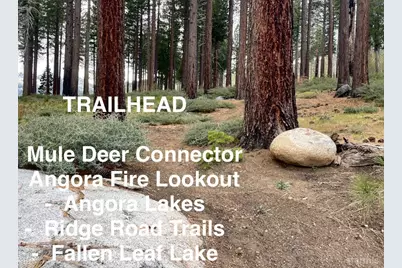 914 Brush Road, South Lake Tahoe, CA 96150 - Photo 22