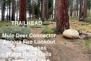 914 Brush Rd, South Lake Tahoe, CA 96150 - Photo 22