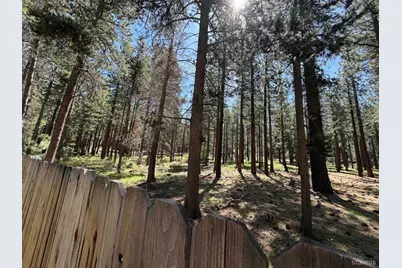 3406 Warr Road, South Lake Tahoe, CA 96150 - Photo 48