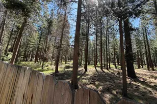 3406 Warr Rd, South Lake Tahoe, CA 96150 - Photo 48