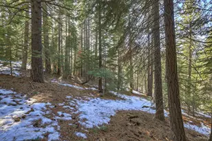 1607 Southern Pines Dr, South Lake Tahoe, CA 96150 - Photo 1