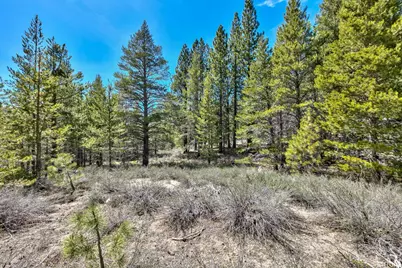 0 Sawmill Road, South Lake Tahoe, CA 96150 - Photo 20