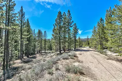 0 Sawmill Road, South Lake Tahoe, CA 96150 - Photo 10