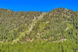 1410 Ski Run Blvd, South Lake Tahoe, CA 96150 - Photo 24
