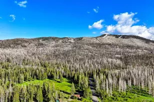 221 Sierra-At-Tahoe Rd, Twin Bridges, CA 95735 - Photo 10