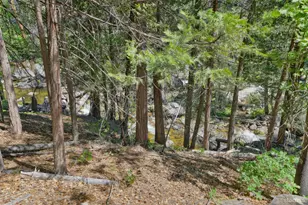 36 Milesstone, Kyburz, CA 95720 - Photo 22