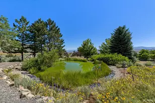 295 Nevada Rd, Markleeville, CA 96120 - Photo 8