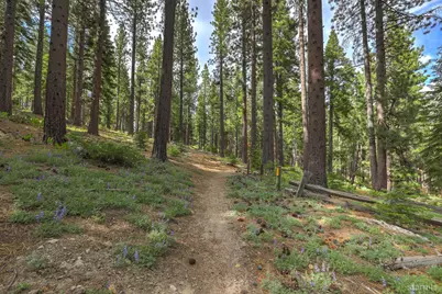 1863 Normuk Street, South Lake Tahoe, CA 96150 - Photo 36