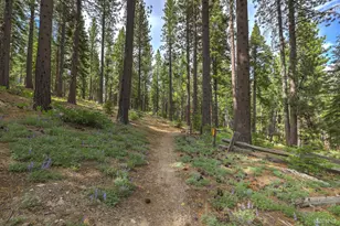 1863 Normuk St, South Lake Tahoe, CA 96150 - Photo 36