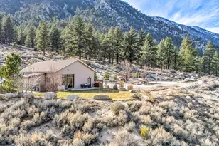 466 Horsethief Cir, Markleeville, CA 96120 - Photo 16