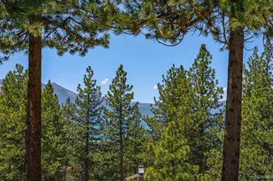 3359 Pine Hill Rd, South Lake Tahoe, CA 96150 - Photo 20