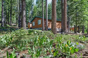 1894 Normuk St, South Lake Tahoe, CA 96150 - Photo 16