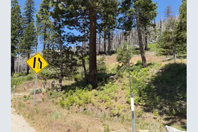 20070 US Hwy 50, Echo Lake, CA 95721 - Photo 2