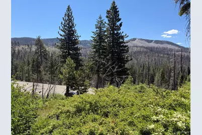 20070 US Hwy 50, Echo Lake, CA 95721 - Photo 6