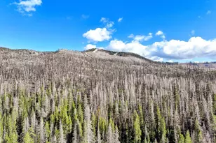 221 Sierra-At-Tahoe Rd, Twin Bridges, CA 95735 - Photo 6