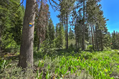 1573 Pebble Beach Drive, South Lake Tahoe, CA 96150 - Photo 26